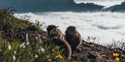 Wanderurlaub - Hunde: hundefreundlich - Wolkenstein-Gröden - Sensoria Dolomites