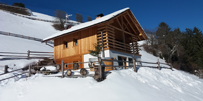 Wanderurlaub - Bettgrößen: Doppelbett - Niederdorf (Trentino-Südtirol) - Natur Chalet