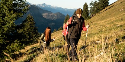 Wanderurlaub - ausgebildeter Wanderführer - Bad Hindelang - Nutzen Sie unser kostenfreies Aktivprogramm - Panoramahotel Oberjoch