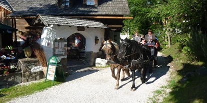 Wanderurlaub - Umgebungsschwerpunkt: Berg - Sonnberg (Krems in Kärnten) - Pferdekutschen Express - Trattlers Hof-Chalets