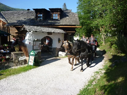Wanderurlaub - Hotel-Schwerpunkt: Wandern & Romantik - Sonnberg (Krems in Kärnten) - Pferdekutschen Express - Trattlers Hof-Chalets