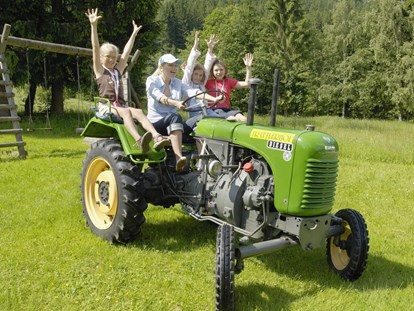 Wanderurlaub - Sonnenterrasse - Oldtimer Traktoren Verleih - Trattlers Hof-Chalets