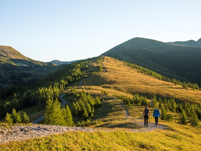 Wanderurlaub - Wanderschuhe: 3 Wanderschuhe - Döbriach - Wandern in den Nockbergen - Trattlers Hof-Chalets