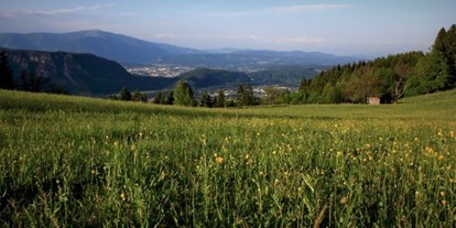 Wanderurlaub - geführte Klettertour - Hermagor - Ausblick vom Naturgut - Naturgut Gailtal