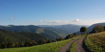 Wanderurlaub - Bettgrößen: Doppelbett - Baden-Württemberg - Panorama Lodge Sonnenalm Hochschwarzwald