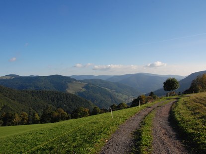 Wanderurlaub - Touren: Wanderung - Panorama Lodge Sonnenalm Hochschwarzwald