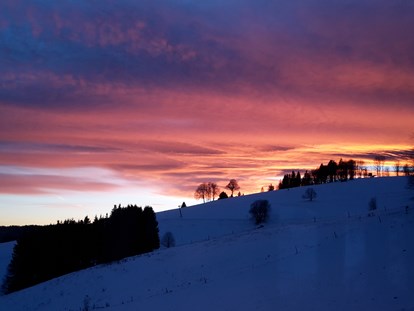Wanderurlaub - geführte Wanderungen - Deutschland - Panorama Lodge Sonnenalm Hochschwarzwald