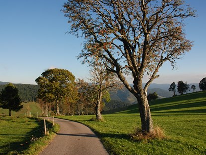 Wanderurlaub - Touren: Hochtour - Panorama Lodge Sonnenalm Hochschwarzwald