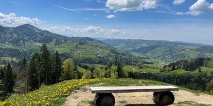 Wanderurlaub - Familienwanderung - Allgäuer Alpen - Allgäuer Frühling (Hündle)  - Lindner Parkhotel & Spa 