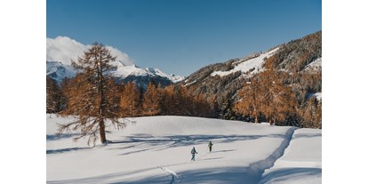 Wanderurlaub - Winterwanderung - Skitour am Stubeck - Pirker’s Natur & Bio Familienhotel