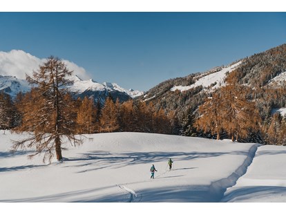 Wanderurlaub - Winterwanderung - Österreich - Skitour am Stubeck - Pirker’s Natur & Bio Familienhotel