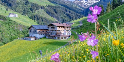 Wanderurlaub - Wäschetrockner - Mittersill - Wanderurlaub in Österreich in den Kitzbühler Alpen - Ferienwohnungen Perfeldhof
