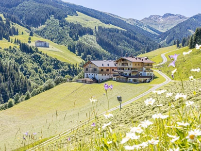 Wanderurlaub - Hüttenreservierung - Mayrhofen (Mittersill) - Wanderhotel in Saalbach-Hinterglemm - Ferienwohnungen Perfeldhof