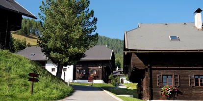 Wanderurlaub - Unterkunftsart: Chalets - Möderboden - Dorfansicht Dorf Grosswild*** - Slow Travel Resort Kirchleitn
