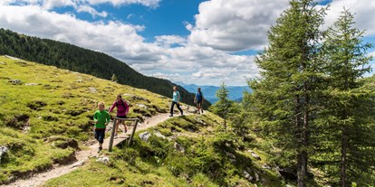 Wanderurlaub - Touren: Bergtour - Döbriach - Genusshotel Almrausch