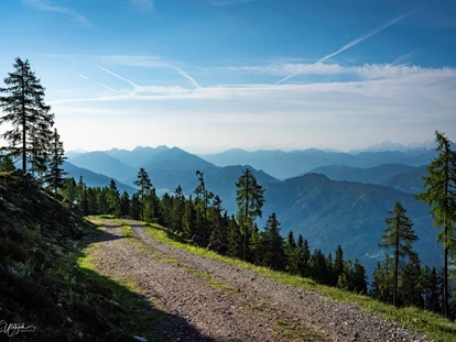 Wanderurlaub - persönliche Tourenberatung - Rietschach - Wanderweg Emberger Alm, eine der vielen  - Sattleggers Alpenhof & Feriensternwarte
