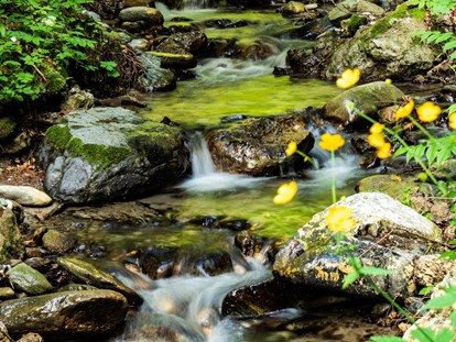 Wanderurlaub - Umgebungsschwerpunkt: Fluss - Unsere Bäche, wie wir sie lieben ....  - Sattleggers Alpenhof & Feriensternwarte