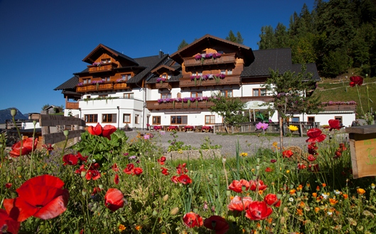 Wanderhotel - ****Hotel Schröckerhof im Sommer
 - Hotel Schröckerhof GmbH