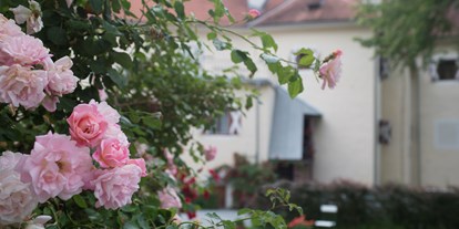 Wanderurlaub - Pauschalen für Wanderer - Sankt Egidi - Rosenpracht im Pichlschloss - Hotel Landsitz Pichlschloss