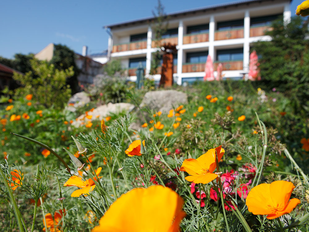 Wanderhotel - Hotel Bärnsteinhof