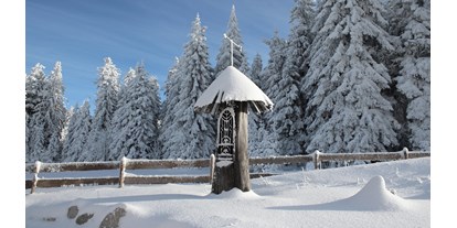 Wanderurlaub - Schönberg (Rohrbach-Berg, Klaffer am Hochficht) - INNs HOLZ Natur- & Vitalhotel**** Kapelle im Winter - INNs HOLZ Natur- & Vitalhotel****