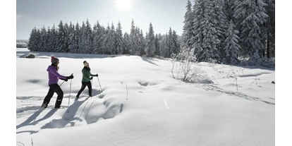 Wanderurlaub - Fitnessraum - Meisingerödt - INNs HOLZ Natur- & Vitalhotel**** Schneeschuhwandern - INNs HOLZ Natur- & Vitalhotel****