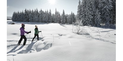 Wanderurlaub - Holzschlag (Schwarzenberg am Böhmerwald, Klaffer am Hochficht) - INNs HOLZ Natur- & Vitalhotel**** Schneeschuhwandern - INNs HOLZ Natur- & Vitalhotel****