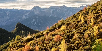 Wanderurlaub - Pauschalen für Wanderer - Oberau (Timelkam) - Herbst am Feuerkogel. Wunderbares Wandergebiet - Kranabethhütte