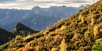Wanderurlaub - ausgebildeter Wanderführer - Sbg. Salzkammergut - Herbst am Feuerkogel. Wunderbares Wandergebiet - Kranabethhütte