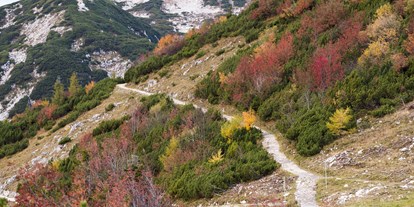 Wanderurlaub - Pauschalen für Wanderer - Altaussee - Eine der vielzähligen Wanderwege am Hochplateau Feuerkogel - Kranabethhütte
