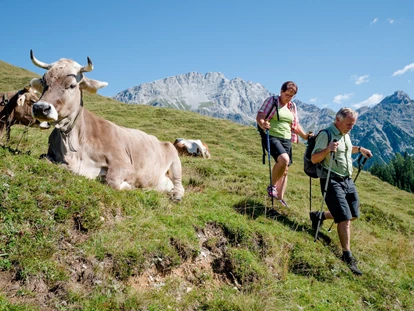 Wanderurlaub - Schwierigkeit Wanderungen: Alpine Route - Salzburg - Wandern im Saalachtal - Familien und Vitalhotel Mühlpointhof ***S