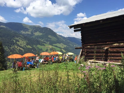 Wanderurlaub - Hüttenreservierung - Schlaming - Wanderung mit Picknick am Berg - Familienhotel Botenwirt ***S