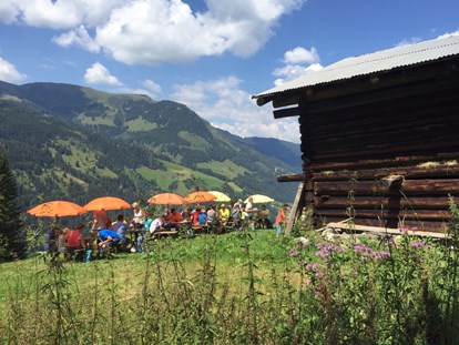 Wanderurlaub - Hüttenreservierung - Flachau - Wanderung mit Picknick am Berg - Familienhotel Botenwirt ***S