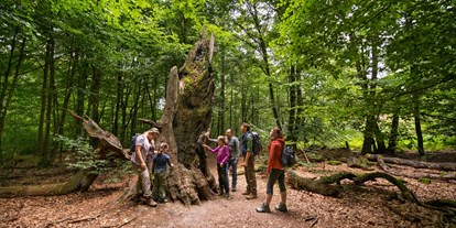Wanderurlaub - Pauschalen für Wanderer - Hannoversch Münden - Naturpark Reinhardswald - Waldhotel Schäferberg