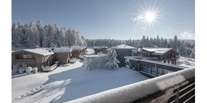 Wanderurlaub - Dampfbad - Holzschlag (Schwarzenberg am Böhmerwald, Klaffer am Hochficht) - INNs HOLZ Chaletdorf Resort im Winter - INNs HOLZ Chaletdorf