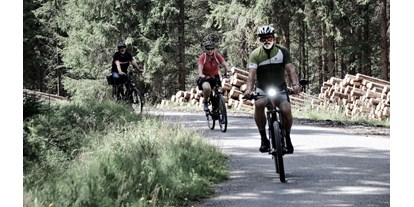Wanderurlaub - Holzschlag (Schwarzenberg am Böhmerwald, Klaffer am Hochficht) - INNs HOLZ Chaletdorf im Sommer Radfahren Mountainbike - INNs HOLZ Chaletdorf