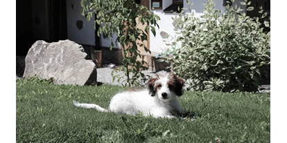 Wanderurlaub - Sauna - Graben (Kleinzell im Mühlkreis, Lembach im Mühlkreis) - INNs HOLZ hundefreundliches Chaletdorf Urlaub mit Hund im Sommer - INNs HOLZ Chaletdorf