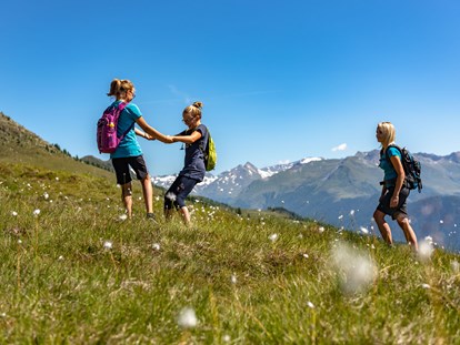 Wanderurlaub - Schwierigkeit Wanderungen: Alpine Route - Österreich - Hotel Glocknerhof