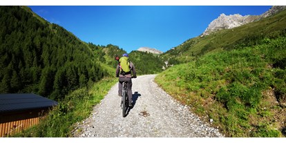 Wanderurlaub - geführte Touren - Tux - geführte E-Bike Touren - das Alois ****s