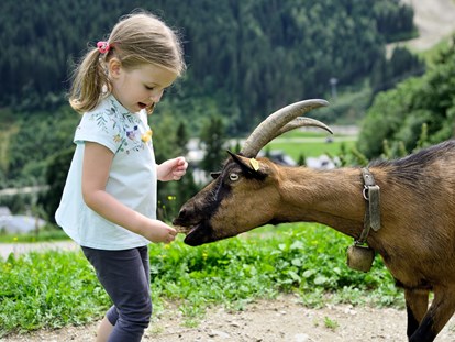 Wanderurlaub - geführte Touren - Schmitten (Zell am See) - Streichelzoo mit Esel, Pony, Hasen, Meerschweinchen, Hühnern & Co. - Berghotel Jaga Alm 