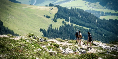 Wanderurlaub - Schwierigkeit Klettersteig: A - Häselgehr - Stearawirts Hauserei am Lech
