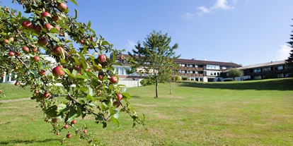Wanderurlaub - Hallenbad - Grömbach - Außengelände - Hotel Schwarzwald Freudenstadt