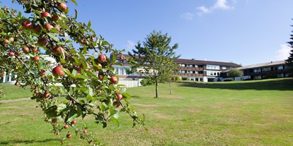 Wanderurlaub - Hallenbad - Baden-Württemberg - Außengelände - Hotel Schwarzwald Freudenstadt