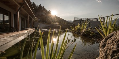 Wanderurlaub - Pools: Schwimmteich - Tröpolach - Sauna Teich - der daberer . das biohotel - der daberer . das biohotel