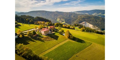 Wanderurlaub - Mountainbikeverleih - Steiermark - Lage Hotel - Der Almblick****
