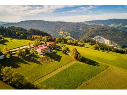 Wanderurlaub - Verpflegung: Frühstück - Steiermark - Lage Hotel - Der Almblick****