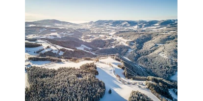 Wanderurlaub - Preisniveau: moderat - Mürzzuschlag - Winterlandschaft beim Almblick - Der Almblick****