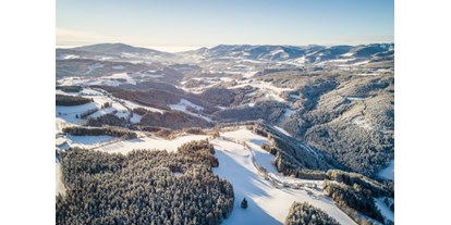 Wanderurlaub - Mountainbikeverleih - Steiermark - Winterlandschaft beim Almblick - Der Almblick****