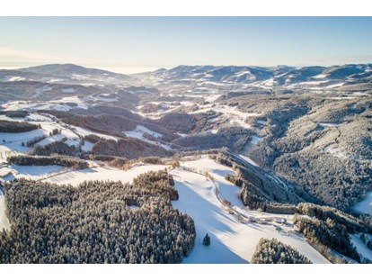 Wanderurlaub - barrierefrei - Österreich - Winterlandschaft beim Almblick - Der Almblick****