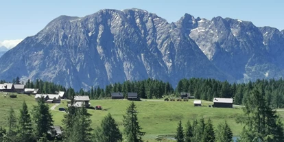 Wanderurlaub - Ausrüstungsverleih: Schneeschuhe - Krungl - Berggasthof Hollhaus